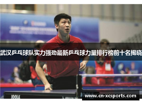 武汉乒乓球队实力强劲最新乒乓球力量排行榜前十名揭晓
